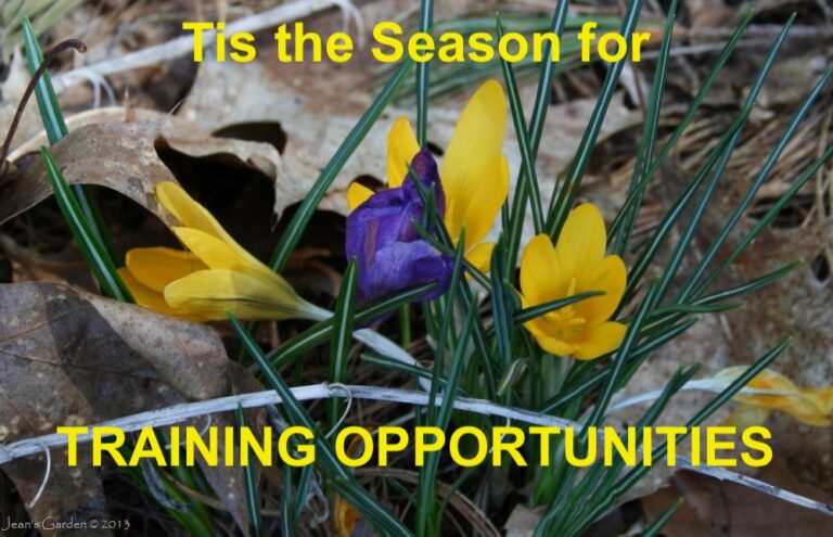 SPRING EDITION 2023 Disaster Behavioral Health Preparedness